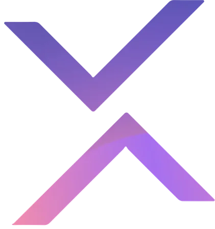 Nelpx X-Signet - Markenzeichen der Nelpx GmbH